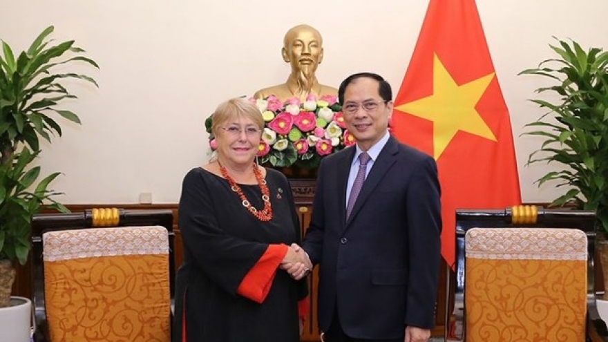 Vietnam always values relations with Chile: FM